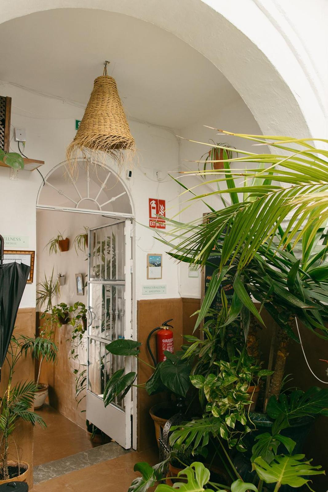 Hostal Africa Таріфа Екстер'єр фото